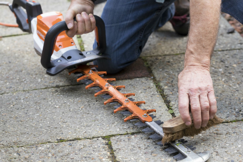 Elektrische snoeischaar schoon borstelen