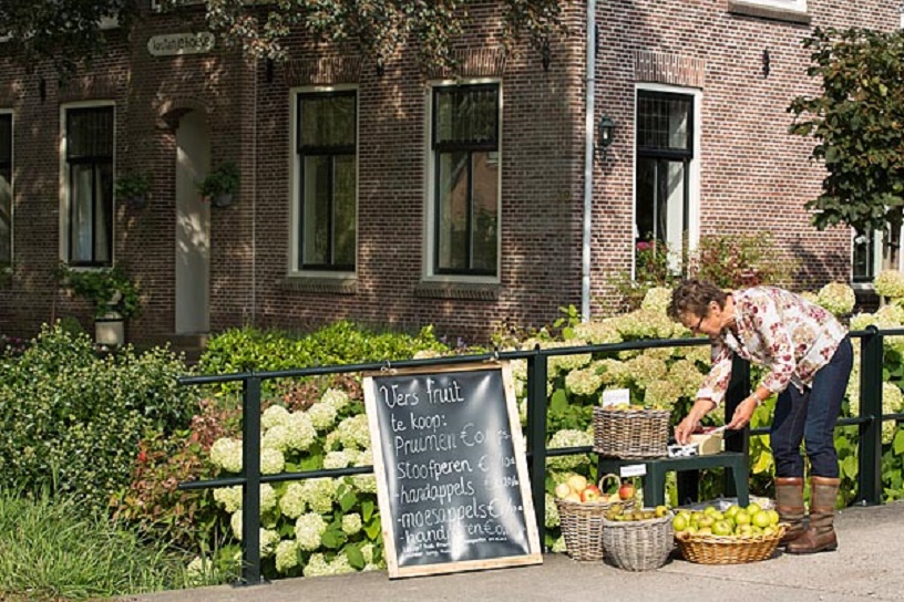 Vers fruit te koop met appels in mand