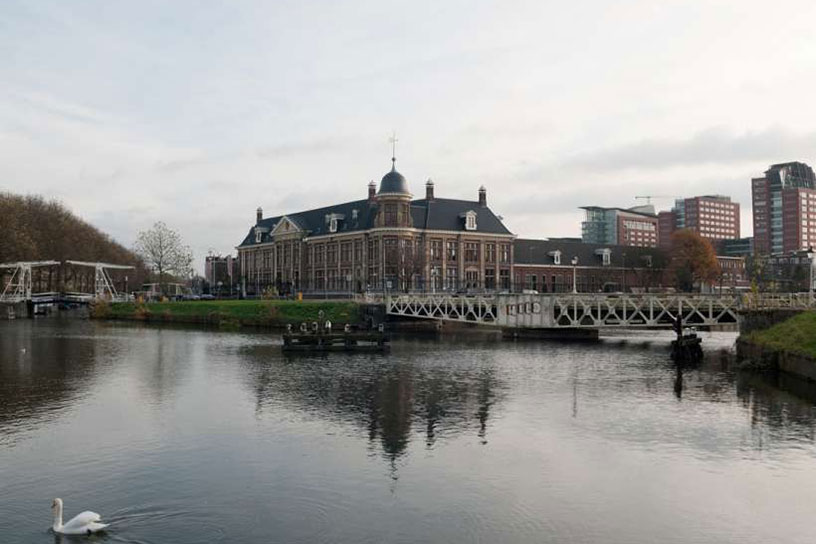 stad aan het water met brug en zwaan