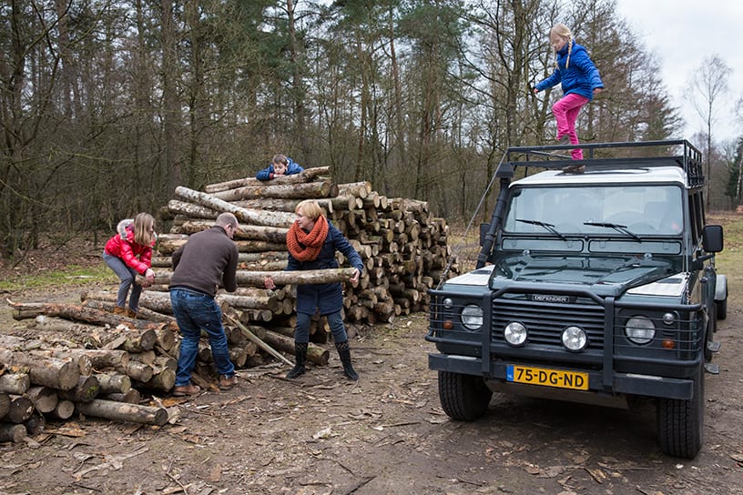 Stapel met gekapt hout en een auto
