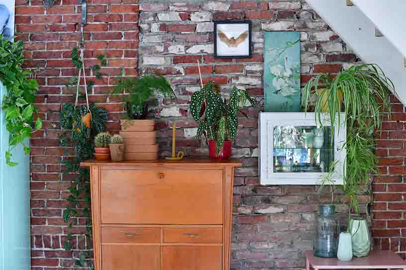 Woonkamer met planten en foto's aan de muur