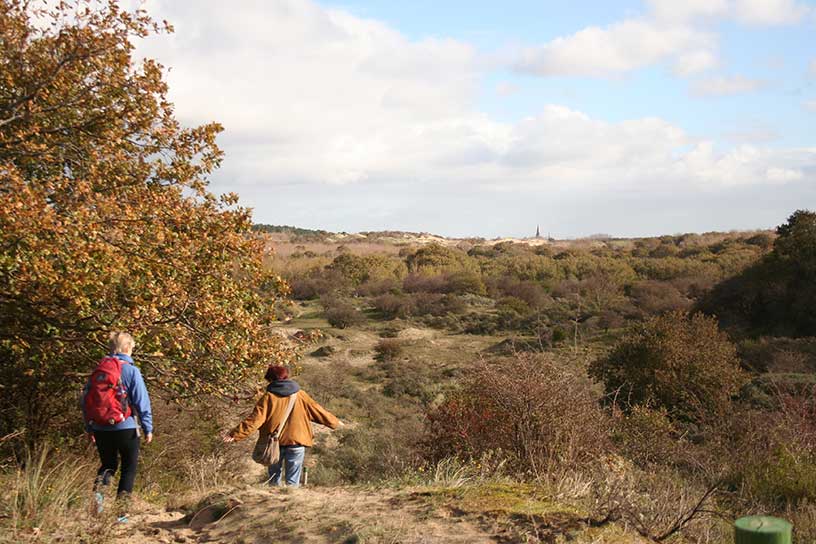 Twee vrouwen die wandelen door duinen