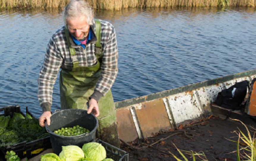 Een man met de geteelde groente op de boot