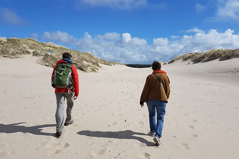 Wandelen door de duinen in Bergen