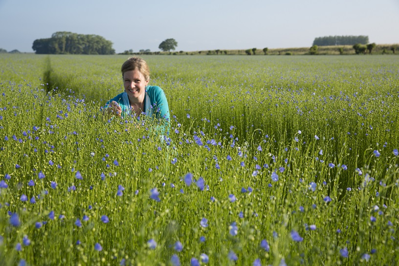 Mevrouw in bloemenveld