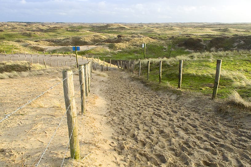 Wandelen door de duinen in Zandvoort