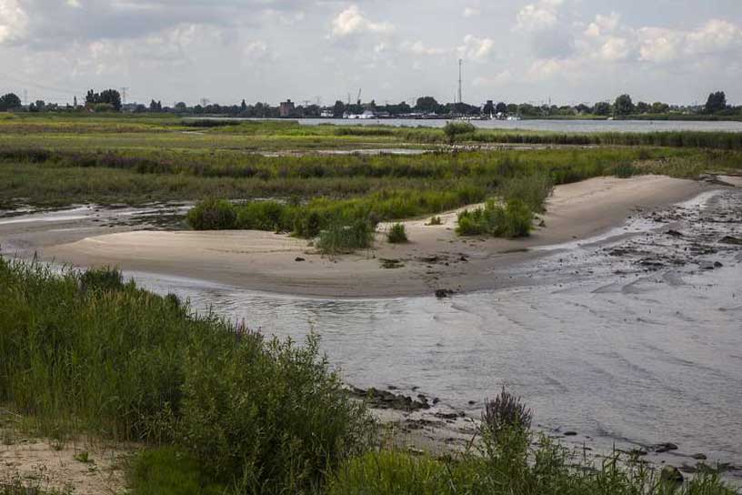 Uiterwaard van een rivier bij de Hollandse Waterlinie.