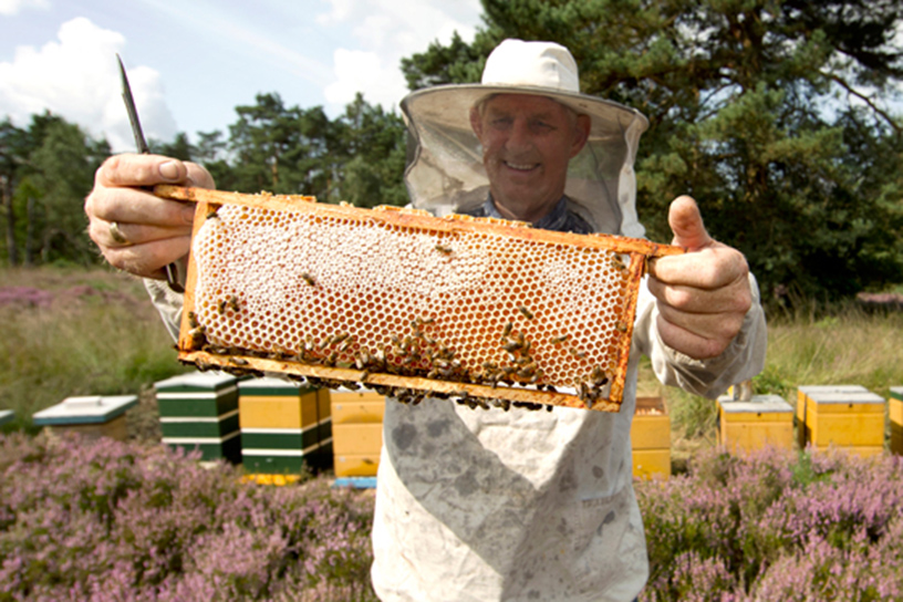 Een imker met korfhoning