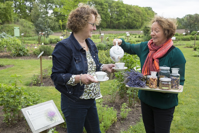 Twee vrouwen in een tuin met een dienblad met verse thee en een theekan