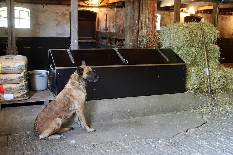 Zelfgemaakte voerkist van hout