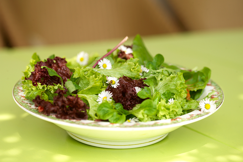 Sla met madeliefjes op een bord