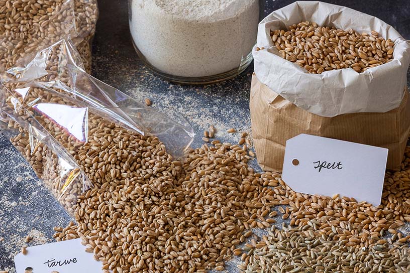 Zak met graan om zelf te maken met graan ervoor