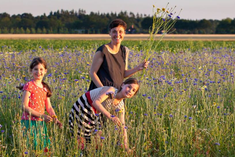 Mensen wandelend door paars bloemenveld