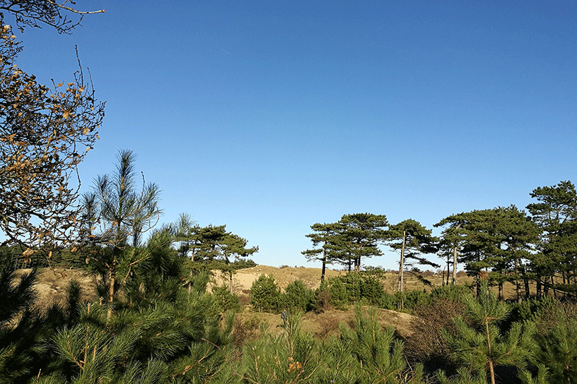 Wandelen door de natuur in Santpoort
