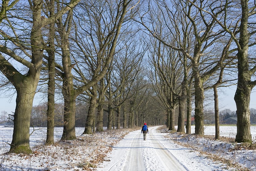 Wandelen in de sneeuw in Wolfheze