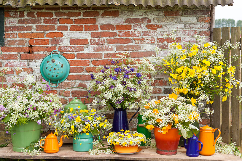 fleurige fluitenkruid schikking 