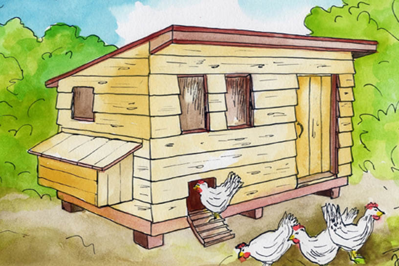 Bouwtekening kippenhok