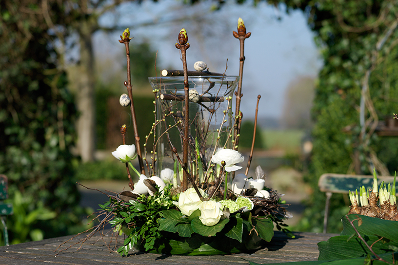 schikking van voorjaarsbloeiers