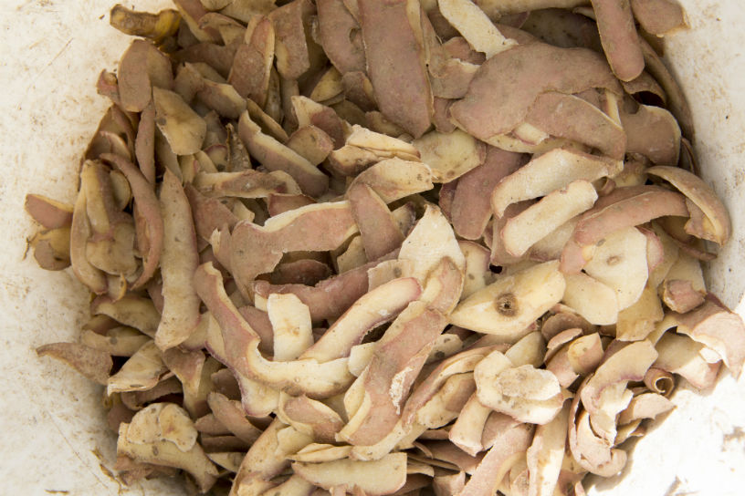 Grote bak met aardappelschillen