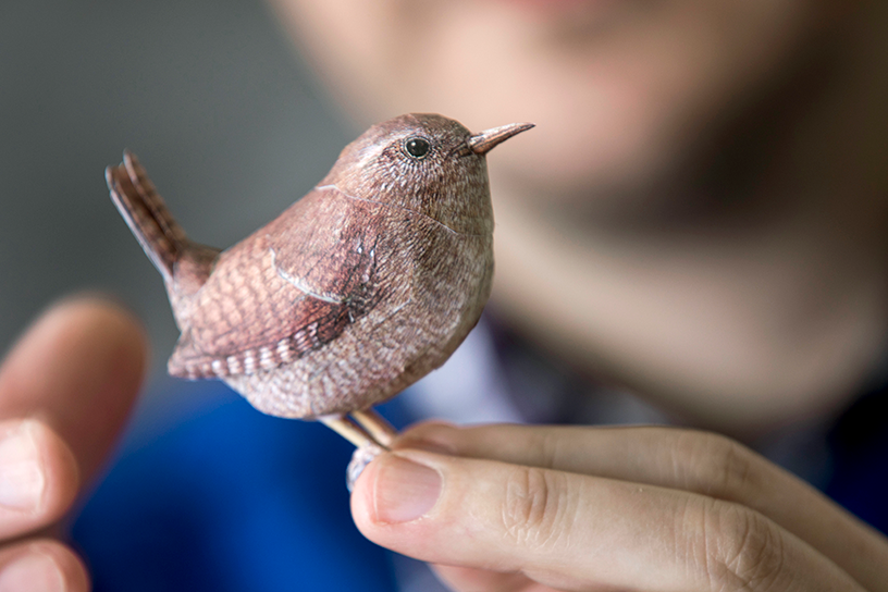 winterkoninkje van papier