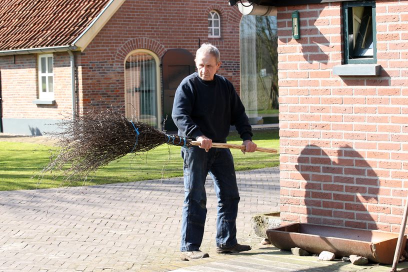 klassieke berkenbezem