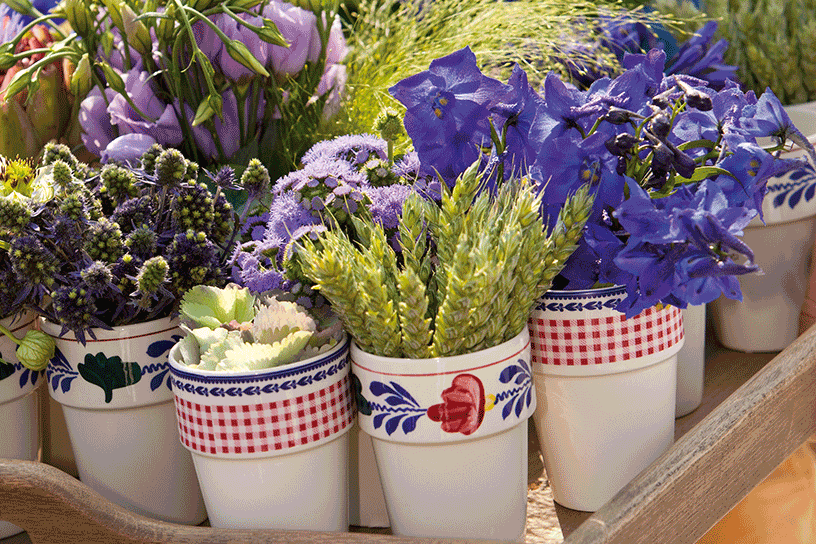 schikkingen in boerse stijl