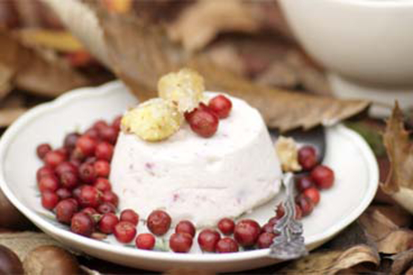 Parfait van kastanjes met cranberry's op een bord