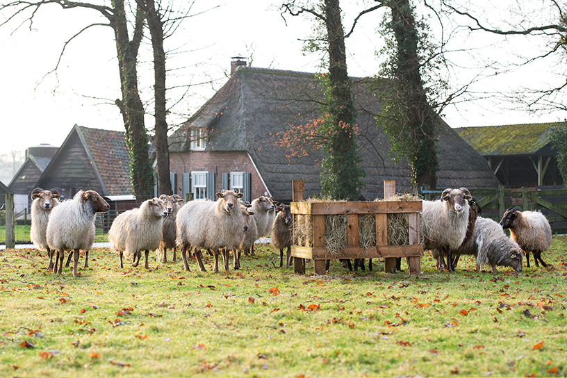 verplaatsbare hooiruif