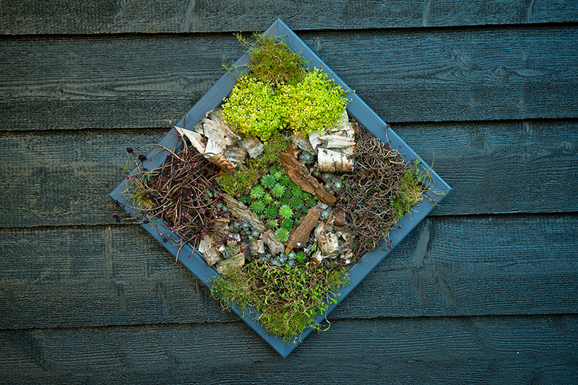 zelfgemaakt levend schilderij