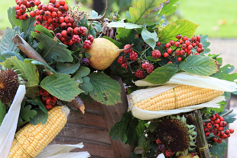 herfstachtige krans 