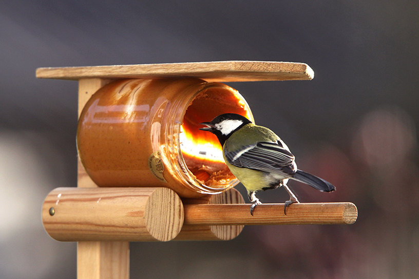 pindakaaspothouder voor vogels