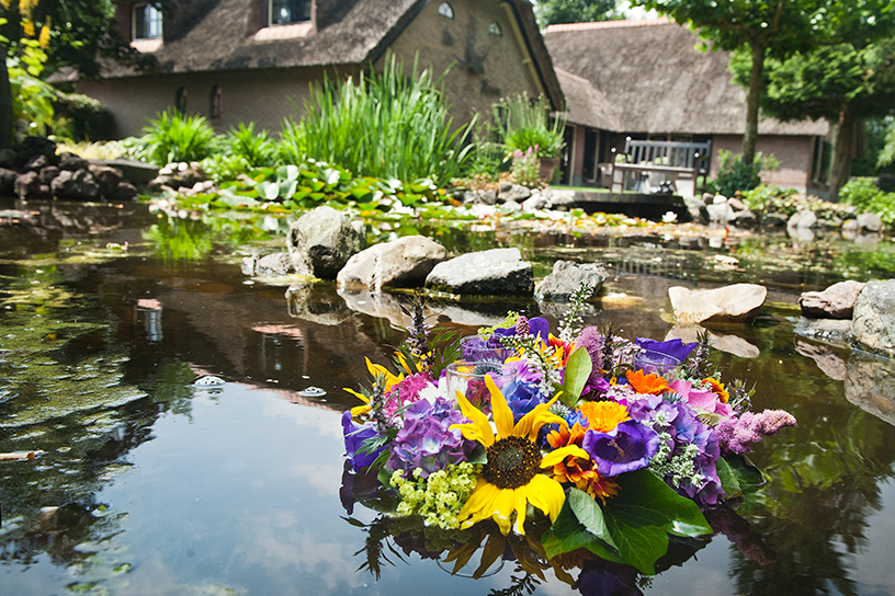 vijverdrijver met vrolijke kleuren