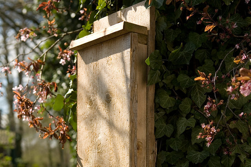 kast als verblijf voor vleermuizen
