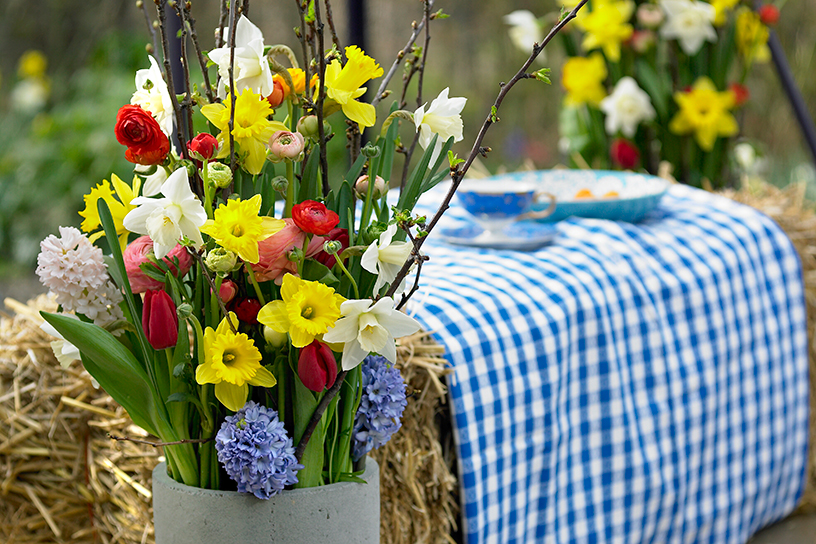 pot met vrolijke voorjaarsbloeiers