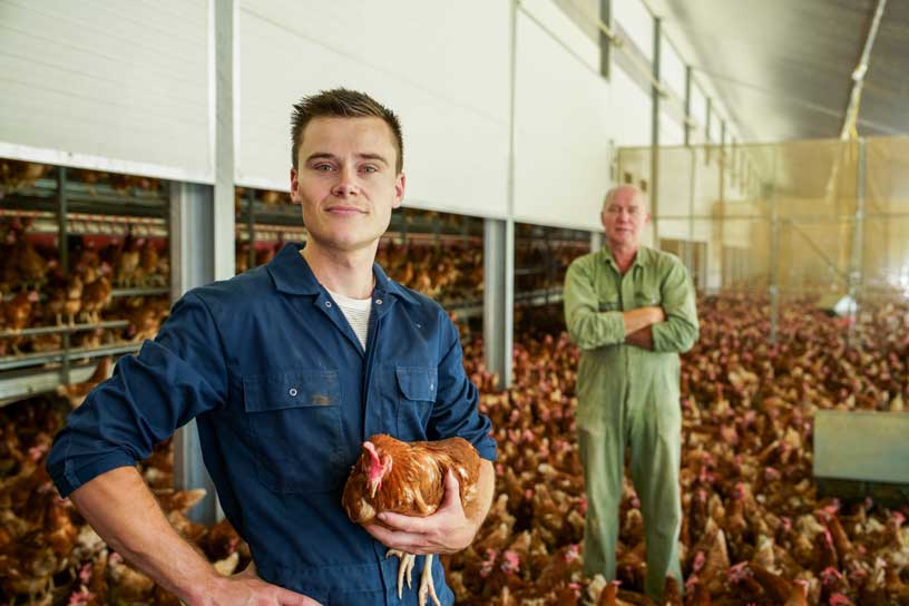 Truckjes om te weten wanneer je een vers eitje hebt 