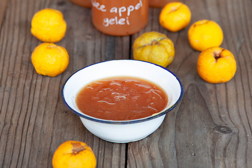 Gelei in bakje met appels