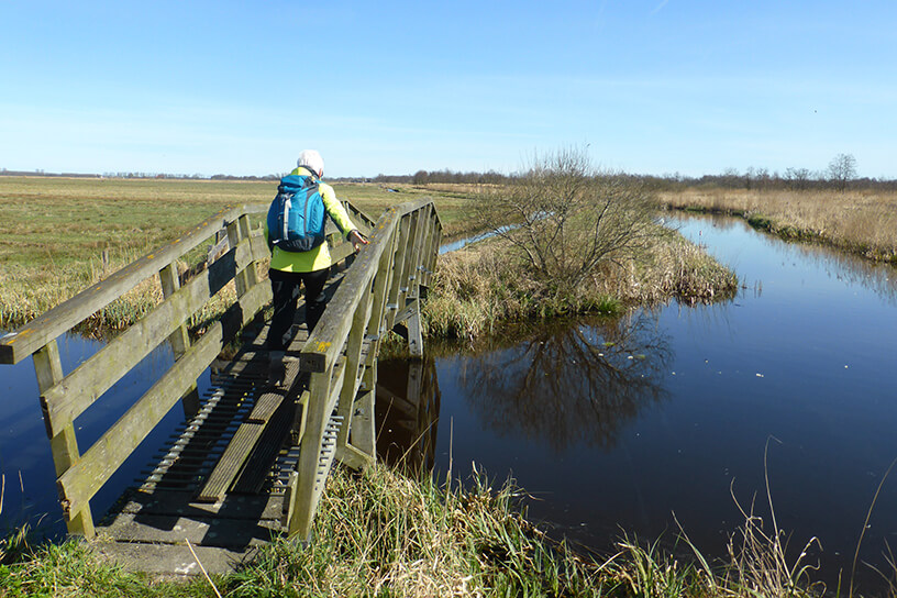 Wandelaar op een bruggetje over een sloot