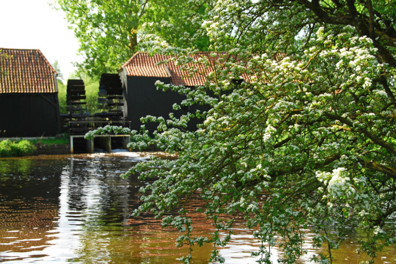 Watermolen langs de Dommel