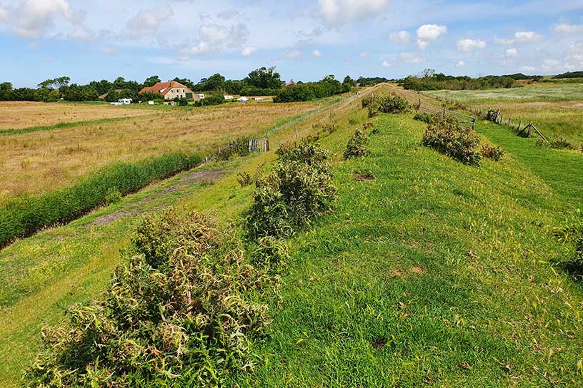 Wandeling van de maand: Trage Tocht Texel ât Horntje